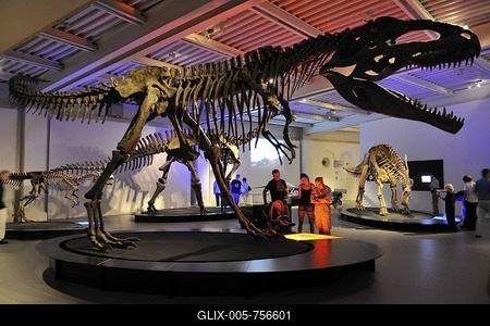 Gigantosaurus carolinii, carnivore, lived 95 million years ago, Giant Dinosaurs of Argentina exhibition, Lokschuppen, locomotive shed, Rosenheim, Upper Bavaria, Bavaria, Germany-stock-foto