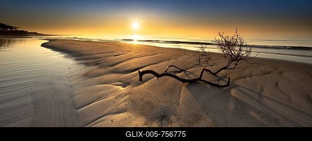 Branch on sandbank at sunset on the beach of the Baltic Sea, peninsula Fischland-Darß-Zingst, Western Pomerania Lagoon Area National Park, Mecklenburg-Western Pomerania, Germany-stock-foto