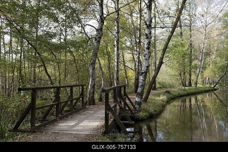 Boardwalk and trail along the Fliess River, Luebbenau, Spreewald Biosphere Reserve, Brandenburg, Germany, Europe-stock-foto