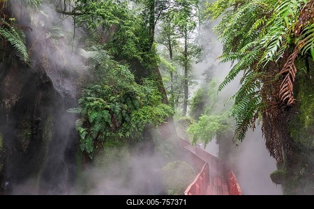 Steaming hot springs in the gorge of the Termas Geometricas, Panguipulli, Región de Los Ríos, Chile-stock-foto