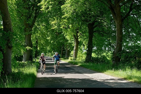 Couple riding bicycles down avenue, Qualzow, Müritz National Park, Mecklenburg Lake District, Mecklenburg-Western Pomerania, Germany-stock-foto