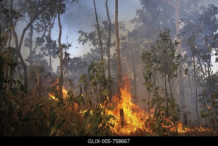 Fire in Kakadu National Park, Northern Territory, Australien-stock-foto