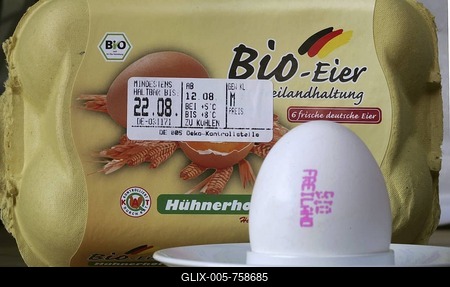 Organic free-range eggs-stock-foto