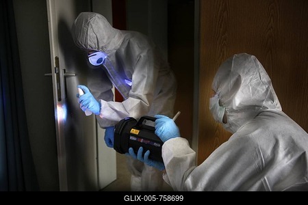 Invisible blood and other traces of bodily fluides are being made visible with UV light and with the help of a detection fluid, officer of the C.I.D., the Criminal Investigation Department, gathering forensic evidence at the scene of a crime, after a capital offence, homicide, re-enacted scene-stock-foto