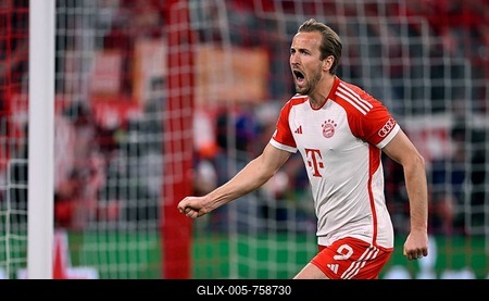 Goal celebration Harry Kane FC Bayern Munich FCB (09) Gesture, Gesture, Champions League, CL, Allianz Arena, Munich, Bayern, Germany-stock-foto