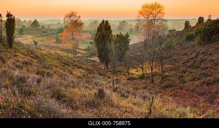 Lunenburg Heath, Undeloh, Lower Saxony, Germany-stock-foto