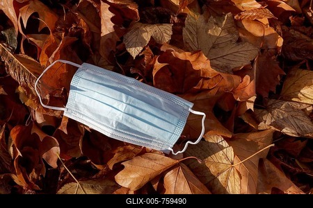 Corona pandemic, discarded face mask lies on autumn leaves, Düsseldorf, North Rhine-Westphalia, Germany-stock-foto