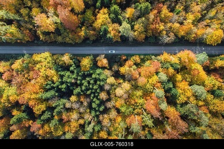 Car driving on forest lined road, Switzerland-stock-foto