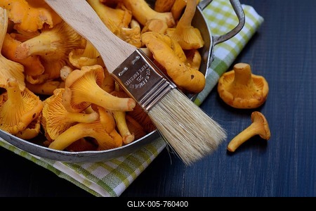Chanterelles with brush, cleaning mushrooms-stock-foto