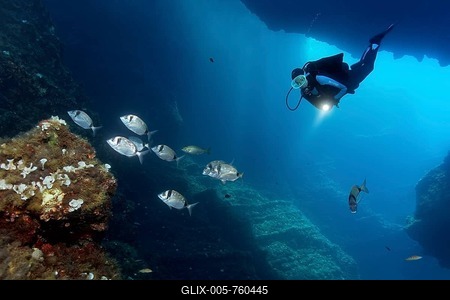 Diver in a cave with a lamp, observing a shoal common two-banded seabream (Diplodus vulgaris), Corfu, Ionian Islands, Mediterranean Sea, Greece-stock-foto
