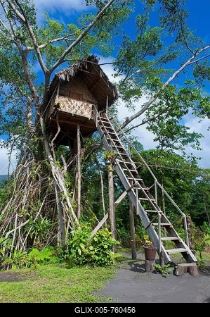 Tree house in a Banyan tree, Tanna, Vanuatu, Vanuatu-stock-foto