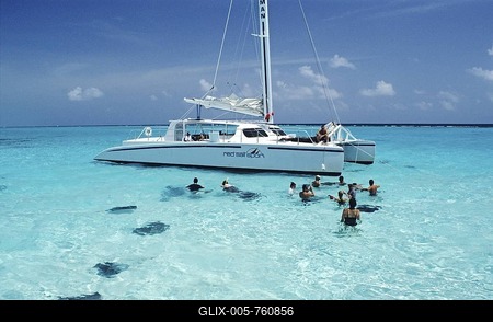 Tourists swimming with sting-rays, Stingray City, Grand Cayman, Cayman Islands, Caribbean, Central America-stock-foto