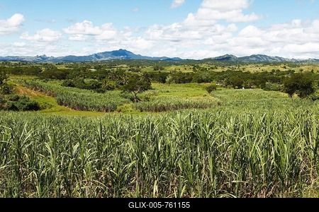 Sugar cane fields, behind the Nausori Highlands, Korovuto, Viti Levu, Fiji-stock-foto