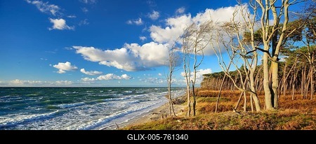 Stormy weather at the west beach in autumn, Windflüchter, Peninsula Darß, Fischland-Darß-Zingst, Western Pomerania Lagoon Area National Park, Mecklenburg-Western Pomerania, Germany-stock-foto