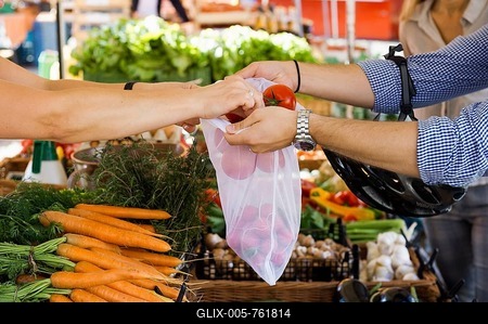 Shopping unpacked with a shopping net, Münstermarkt, Freiburg im Breisgau, Baden-Württemberg, Germany-stock-foto