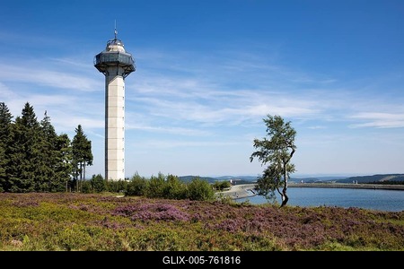 Hochheideturm, Blühende Hochheide, Ettelsberg, Willingen, Upland, Rothaargebirge, Sauerland, Hesse, Germany-stock-foto
