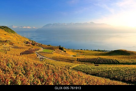 Autumn coloured vineyards on Lake Geneva, UNESCO World Heritage Lavaux, Canton Vaud, Switzerland-stock-foto