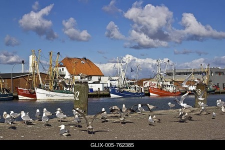 Seagulls on a wharf in front of fishing cutters in the harbour of the North Sea resort town of Buesum, Dithmarschen, Schleswig-Holstein, Wattenmeer, Germany-stock-foto