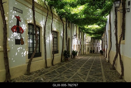 Calle Ciegos with trained vine and the Tio Pepe sherry plaque at the winery Bodega Gonzalez Byass, Jerez de la Frontera, Cadiz province, Andalusia, Spain-stock-foto