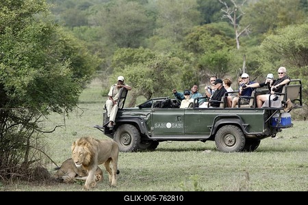 Safari, tourists in an open landrover watching a lion (Panthera leo), Kruger National Park, South Africa, Africa-stock-foto