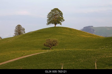 Drumlin with trees, Hirzel, Canton Zurich, Switzerland, Europe-stock-foto