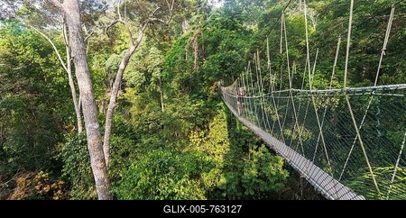 Suspension bridge in jungle, Kuala Tahan, Taman Negara National Park, Malaysia-stock-foto