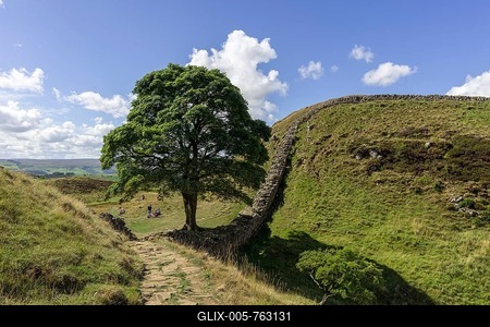 Sycamore Gap, Henshaw, Hadrianswall, England, United Kingdom-stock-foto