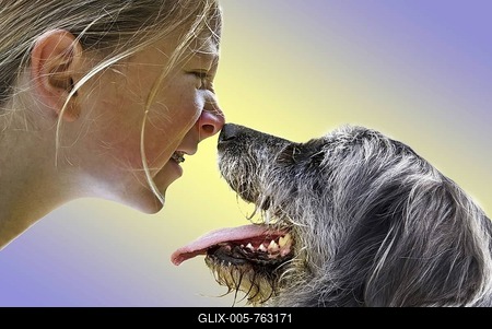 Girls and dog touch with their noses-stock-foto