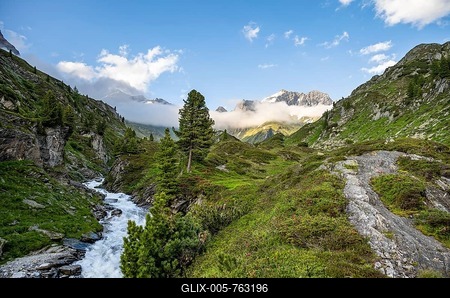 Mountain landscape with alpine roses and mountain stream Zemmbach, mountain peak Kleiner Mörcher in the background, Berliner Höhenweg, Zillertal Alps, Tyrol, Austria-stock-foto