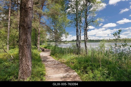 Moor Wurzacher Ried, Bad Wurzach, Upper Swabia, Baden-Württemberg, Germany-stock-foto