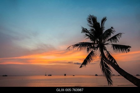 Palm tree at sunset, by the sea, South China Sea, Gulf of Thailand, Koh Tao, Thailand-stock-foto