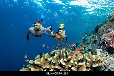 Pair, snorkeler, dives hand in hand over coral reef, looks at fish, flagfishes (Anthiadinae) reeffish, Great Barrier Reef, Pacific, Australia-stock-foto