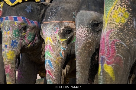 Painted Elephants, Amber Fort, Jaipur, Rajasthan, India, Asia-stock-foto