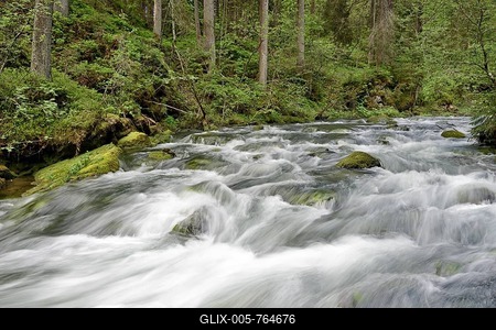 Mountain stream with rapids, Schwarzwasserbach, Schwarzwassertal, Kleinwalsertal, Vorarlberg, Austria-stock-foto