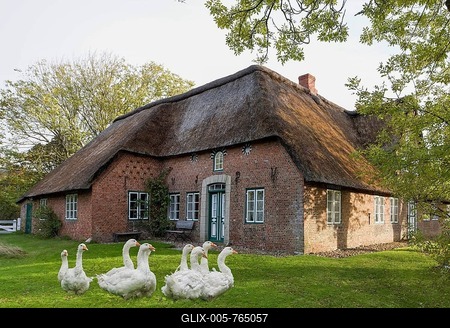 Historic Frisian House with geese, Keitum, Sylt, North Frisian Island, North Sea, North Frisia, Schleswig-Holstein, Germany-stock-foto