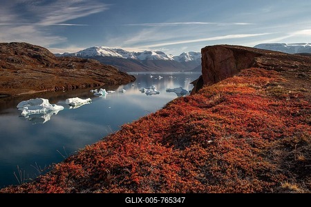 Icebergs, snow-covered mountains and autumn-colored alpine bearberry (Arctostaphylos alpinus) and Arctic willow or arctic willow (Salix arctica), Kaiser Franz Joseph Fjord, Northeast Greenland National Park, Greenland-stock-foto