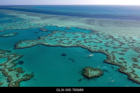 Coral Reef, Heart Reef, part of Hardy Reef, Outer Great Barrier Reef, Queensland, Australia-stock-foto