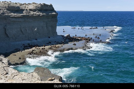 Sea lion colony (Otaria flavescens) near Puerto Pirámides, Valdes Peninsula, Patagonia, East Coast, Atlantic Ocean, Argentina-stock-foto