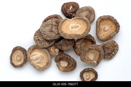 Shiitake (Lentinula edodes), dried mushrooms, seasoning mushroom of the Asian cuisine and one of the best known medicinal mushrooms, dried Shitake mushrooms, Shiitake or Shii-Take-stock-foto