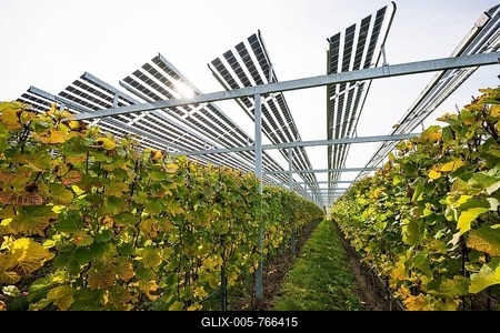 Solar plant in the vineyard, solar cells, solar modules, solar power plant, photovoltaic plant, Blankenhornsberg, near Ihringen, Kaiserstuhl, Baden-Württemberg, Germany-stock-foto