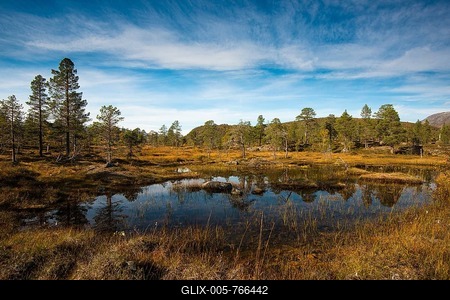 Lake in Anderdalen National Park, Senja, Norway-stock-foto