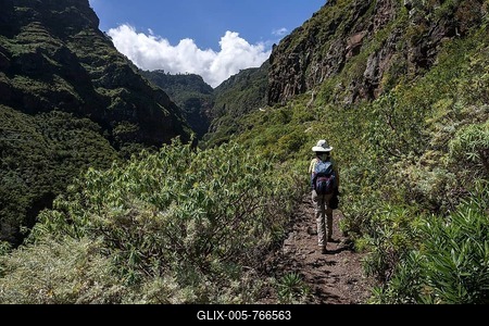 Hiker in Barranco de Ruiz, San Juan de la Rambla, Tenerife, Canary Islands, Spain-stock-foto