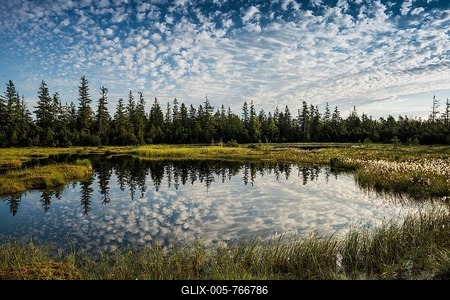 Wildseemoor, between Bad Wildbad and Gernsbach, Black Forest, Baden-Württemberg, Germany-stock-foto