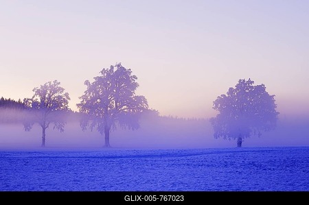 Winter landscape shrouded in fog, Horben, Aargau, Switzerland, Europe-stock-foto