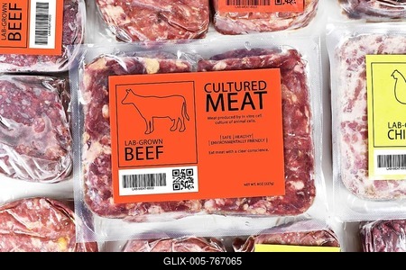 Cultured beef meat concept for artificial in vitro cell culture meat production with frozen packed raw meat with label-stock-foto