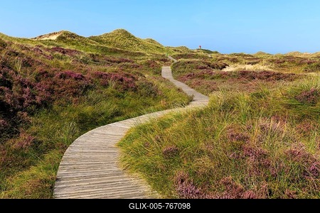 Lighthouse, cross light, blooming heath with wooden jetty on Amrum Island, North Sea, North Frisian Island, Schleswig-Holstein, Germany-stock-foto