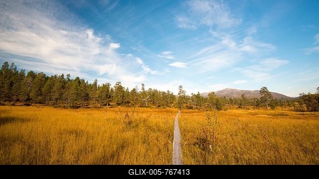 Hiking trail, Ånderdalen National Park, Senja, Norway-stock-foto