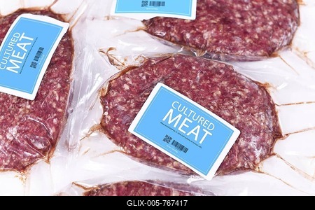 Lab grown cultured meat concept for artificial in vitro cell culture meat production with packed raw meat with made up blue label-stock-foto