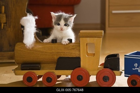 Kitten playing with a wooden toy train in a living room-stock-foto