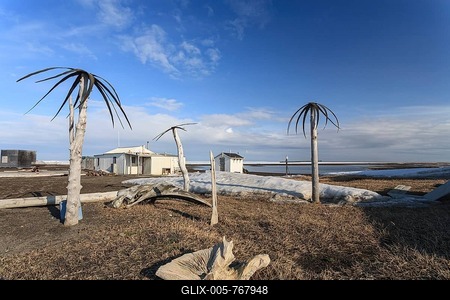 Palm trees made of whale skin, art, Inuit, Point Barrow, Barrow, Alaska, USA-stock-foto